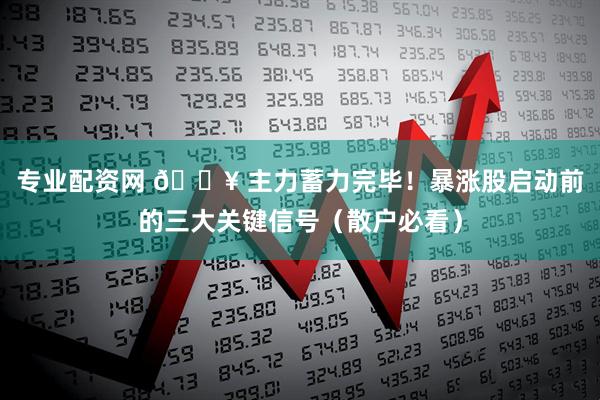 专业配资网 🔥 主力蓄力完毕!暴涨股启动前的三大关键信号(散户必看)