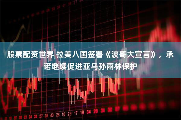 股票配资世界 拉美八国签署《波哥大宣言》，承诺继续促进亚马孙雨林保护