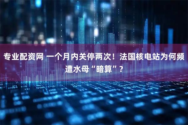 专业配资网 一个月内关停两次！法国核电站为何频遭水母“暗算”？