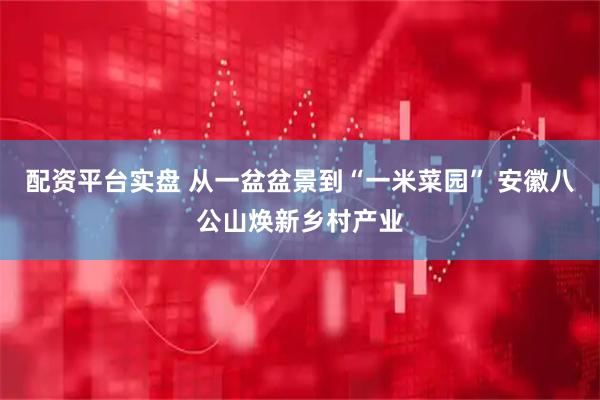 配资平台实盘 从一盆盆景到“一米菜园” 安徽八公山焕新乡村产业